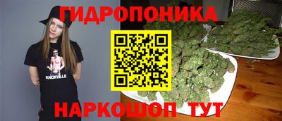jwh Нальчик