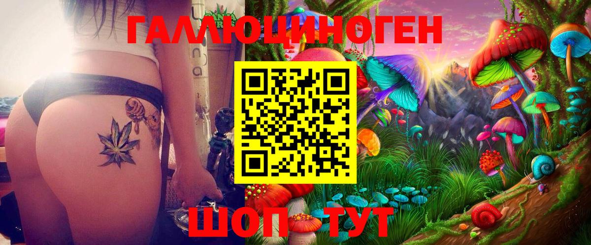 Галлюциногенные грибы Magic Shrooms  Вход с VPN  Чебоксары 