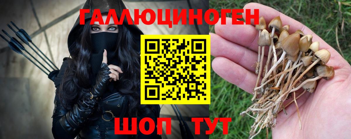 Галлюциногенные грибы мухоморы Чебоксары